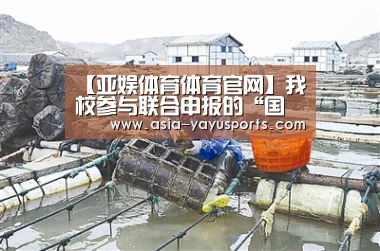 亚娱体育体育